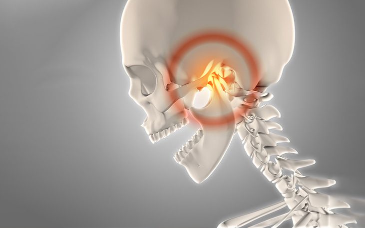 Temporomandibular joint - function
